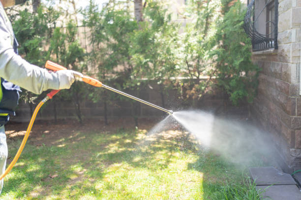 Best Residential Pest Control  in Ogdensburg, NY